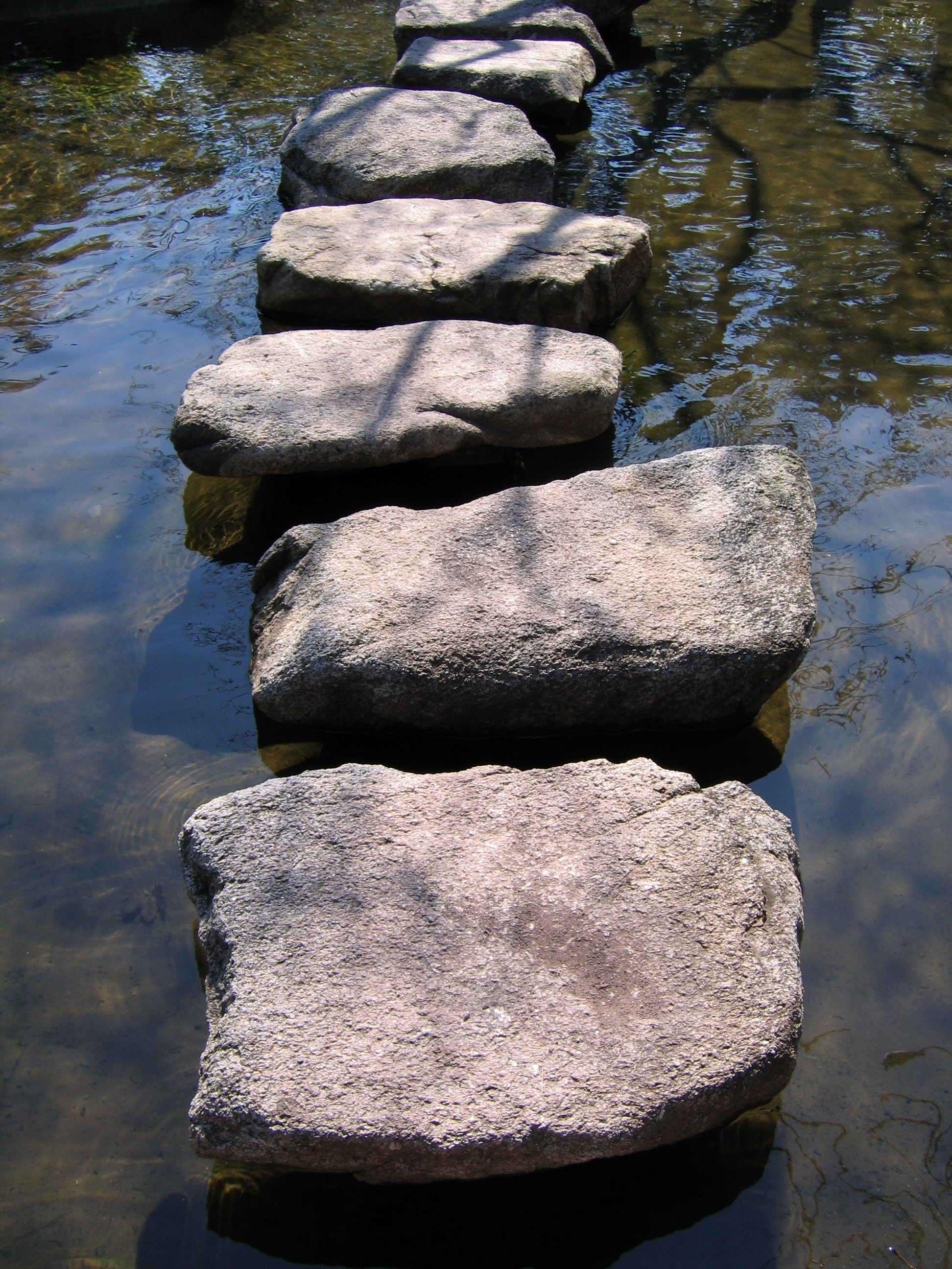 Stepping stone. Stepping Stones. Stepping Stones 2 задания. Sensitivity stepping Stones. Stepping Stones скрипка.